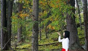 巴拉格宗自駕游兩日_自駕宗游巴拉格多少錢_巴拉格宗景區可以自己開車嗎