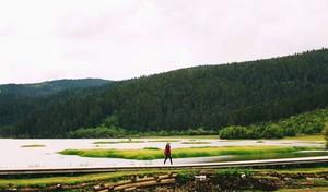 自駕宗游巴拉格多少錢_巴拉格宗自駕游兩日_巴拉格宗景區可以自己開車嗎