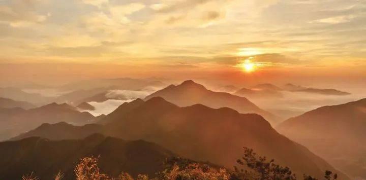 旗山森林公園自駕游_旗山國家森林公園自駕_自駕游旗山