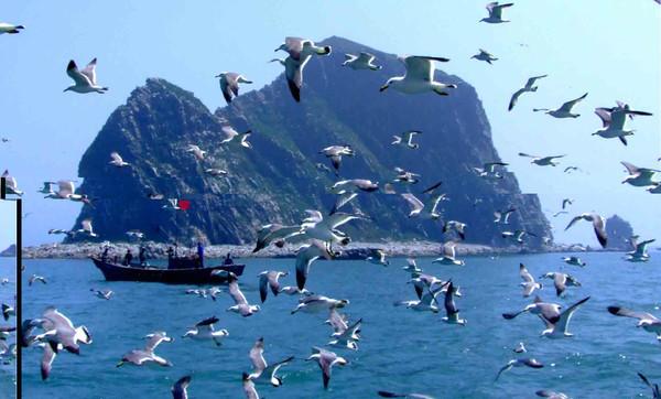 自駕游山東_山東自駕游線路_山東自駕游推薦