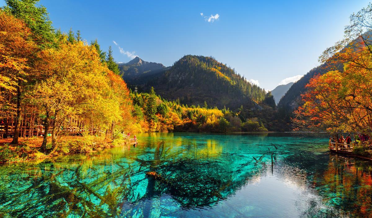 重慶到閬中旅游_重慶自駕閬中攻略_閬中到重慶自駕游