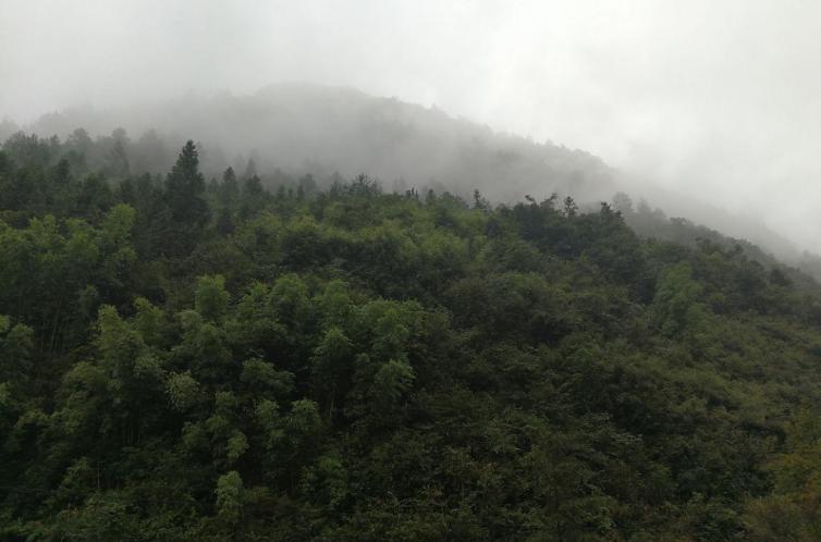 重慶到閬中旅游_閬中到重慶自駕游_重慶自駕閬中攻略