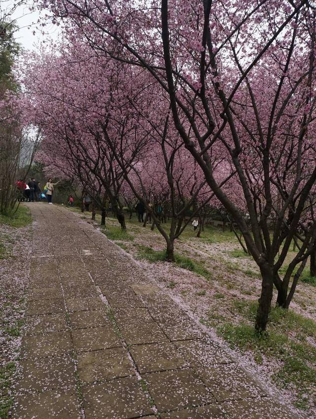 唐城自駕游攻略_唐城旅游攻略_唐城自駕游