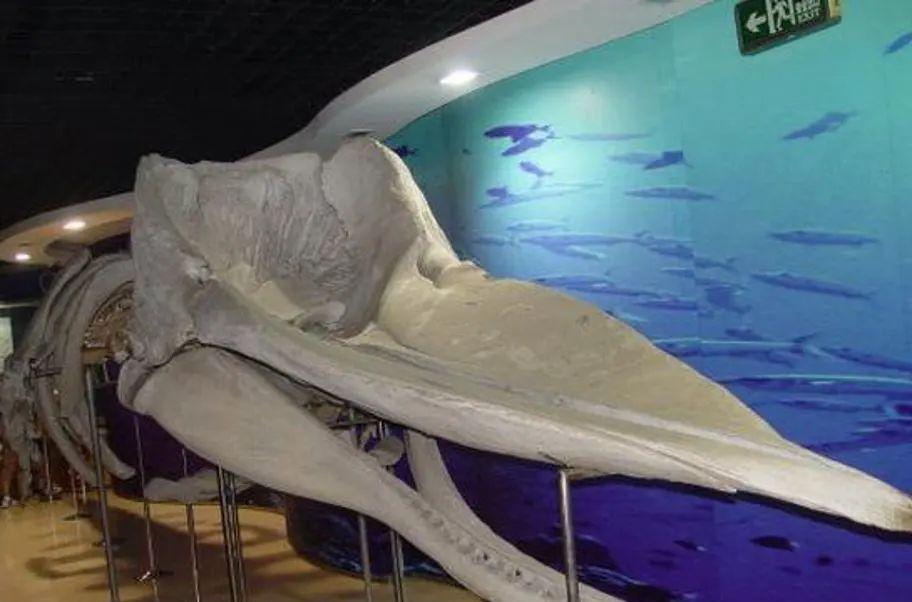 旗山旅游攻略_自駕游旗山_旗山一日游怎么安排