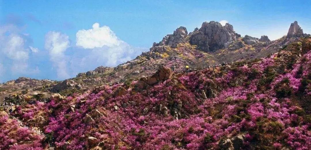 旗山一日游怎么安排_(tái)自駕游旗山_旗山旅游攻略
