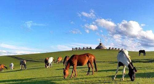 沈陽到呼倫貝爾自駕游攻略：距離、準備事項與路線分享