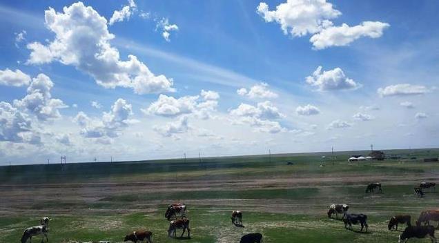 沈陽到呼倫貝爾自駕游攻略 附路線圖