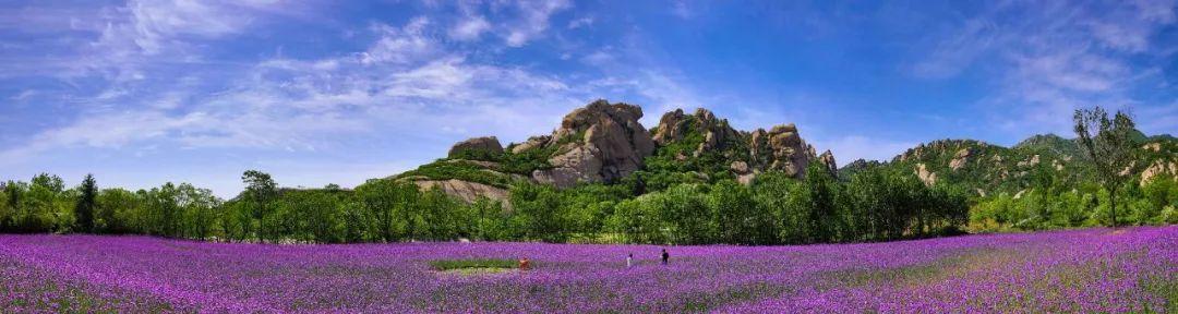 自駕旅游景點推薦_嵖岈山自駕游旅游攻略_自駕游旅途攻略