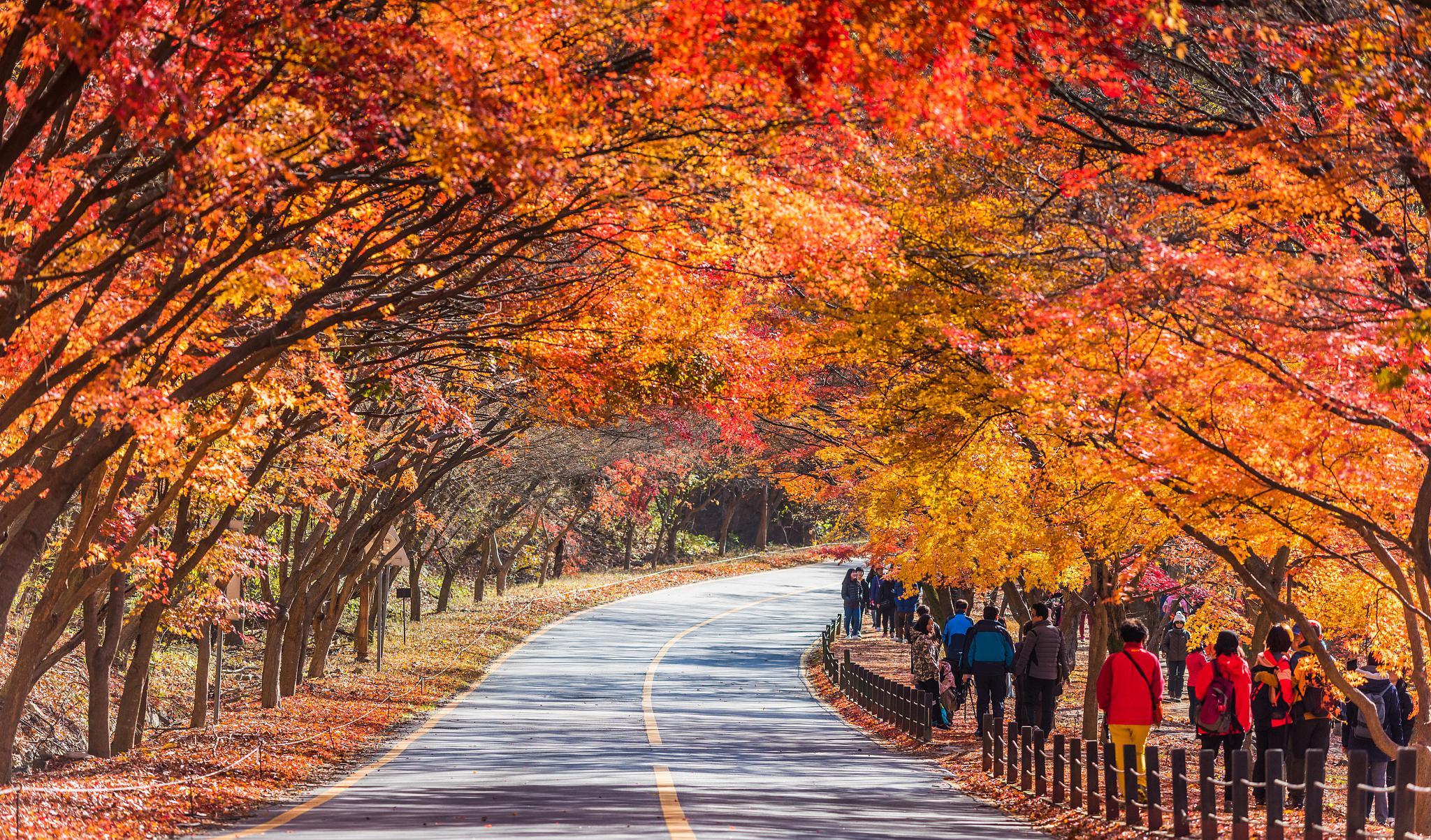 銀川至西安自駕游，領略大自然的畫筆與自由的期待