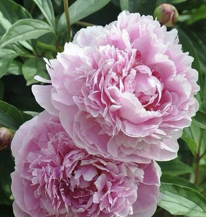 山西自駕之旅：從古老到現代，領略大地風情與心靈對話