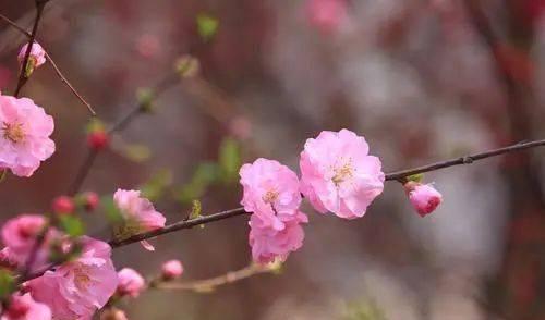 揚(yáng)州火車北京到哪個站_北京到揚(yáng)州火車_揚(yáng)州至北京火車