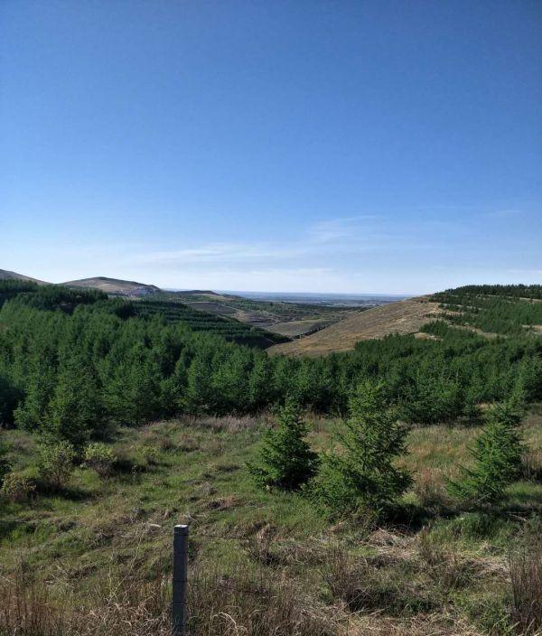 自駕游的影響_自駕游壞處_自駕游會不會太累