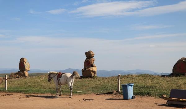 自駕游會不會太累_自駕游壞處_自駕游的影響
