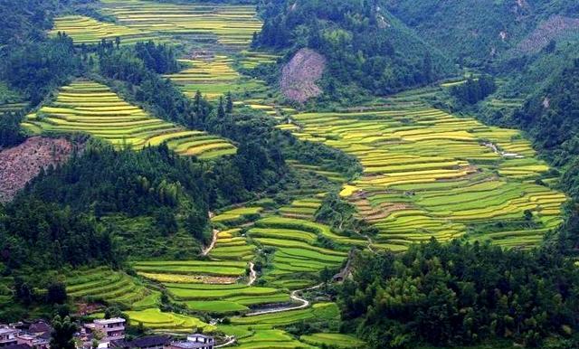 廣東自駕游十佳線路_廣東自駕游哪好玩_廣東自駕游記