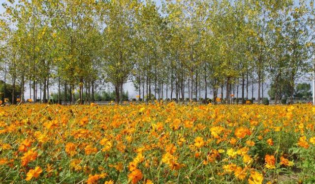 江浙滬周末自駕游_江浙滬一周自駕游路線推薦_自駕游江浙滬旅游攻略