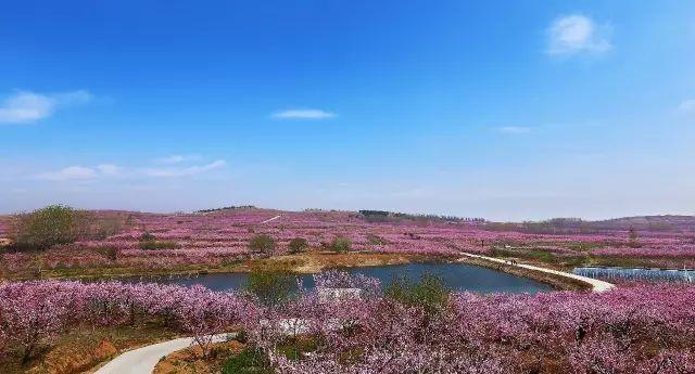 山東兩天自駕游_自駕游2天去哪里比較好山東_山東2天自駕游