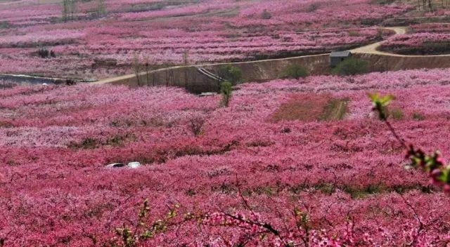 自駕游2天去哪里比較好山東_山東2天自駕游_山東兩天自駕游
