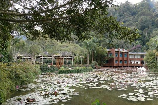 成都攀枝花自駕_成都攀枝花自駕游_成都自駕去攀枝花中途住在哪里