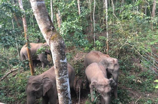 成都自駕去攀枝花中途住在哪里_成都攀枝花自駕_成都攀枝花自駕游