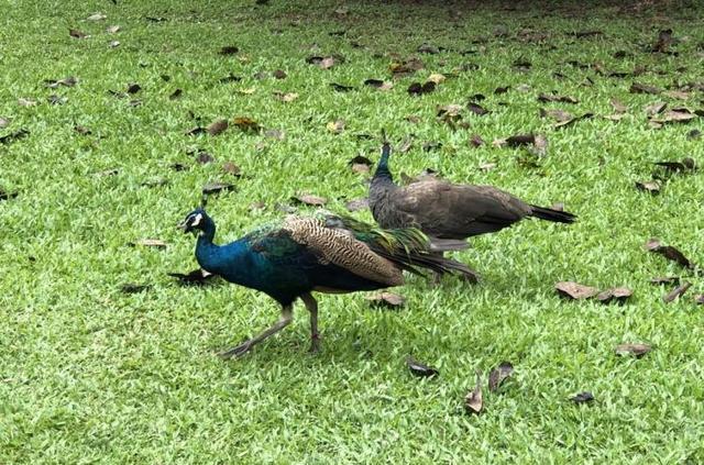 成都攀枝花自駕游_成都攀枝花自駕_成都自駕去攀枝花中途住在哪里