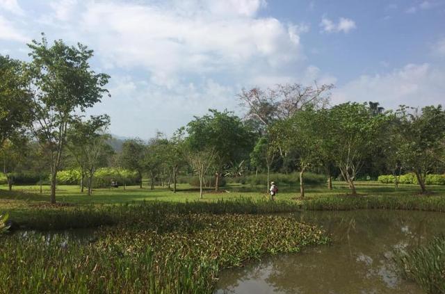 成都攀枝花自駕_成都攀枝花自駕游_成都自駕去攀枝花中途住在哪里