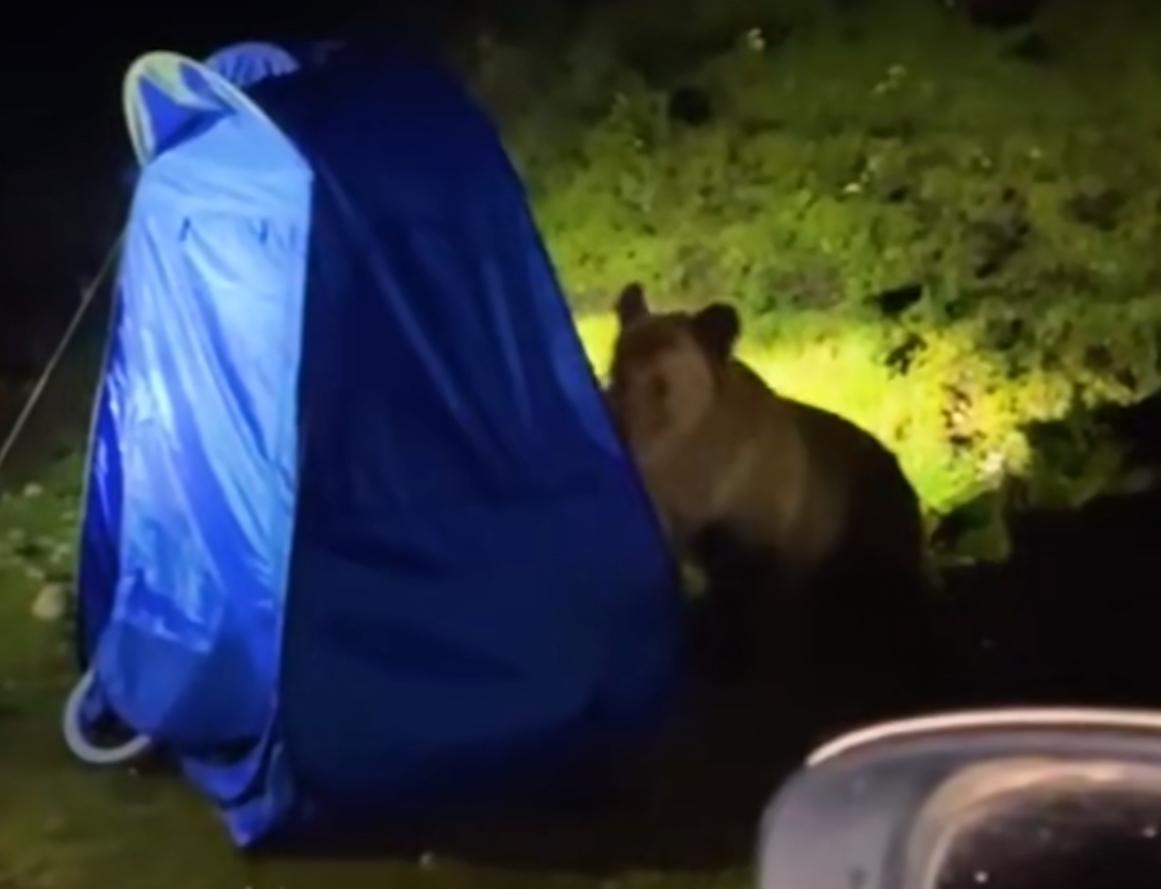 青海自駕游江油到西安路線_江油到青海自駕游_江油到青海多少公里