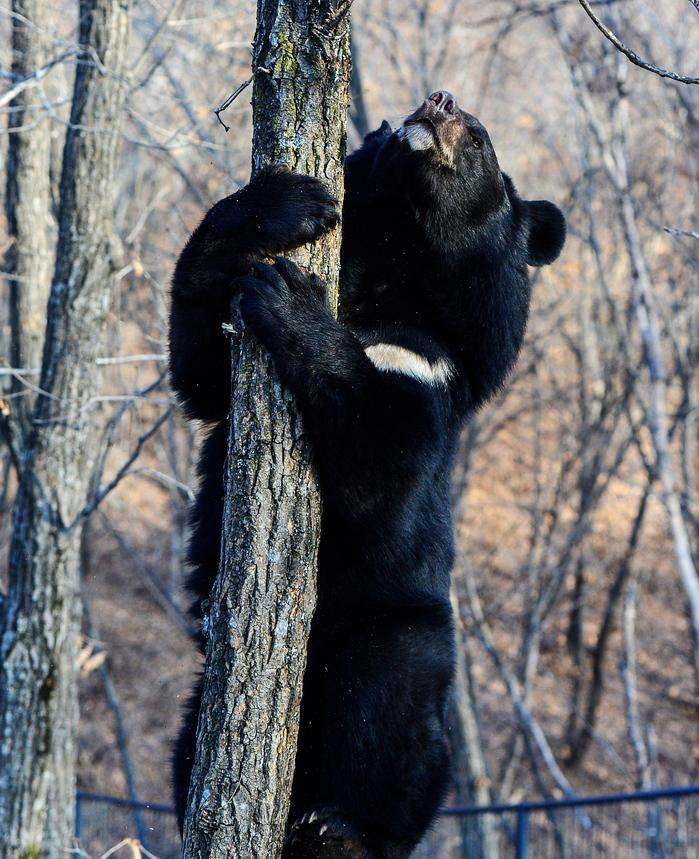 青海自駕游江油到西安路線_江油到青海多少公里_江油到青海自駕游