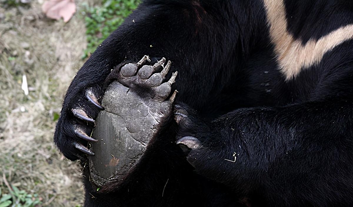 青海自駕游江油到西安路線_江油到青海多少公里_江油到青海自駕游