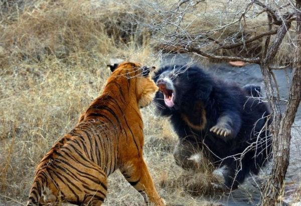 江油到青海多少公里_江油到青海自駕游_青海自駕游江油到西安路線