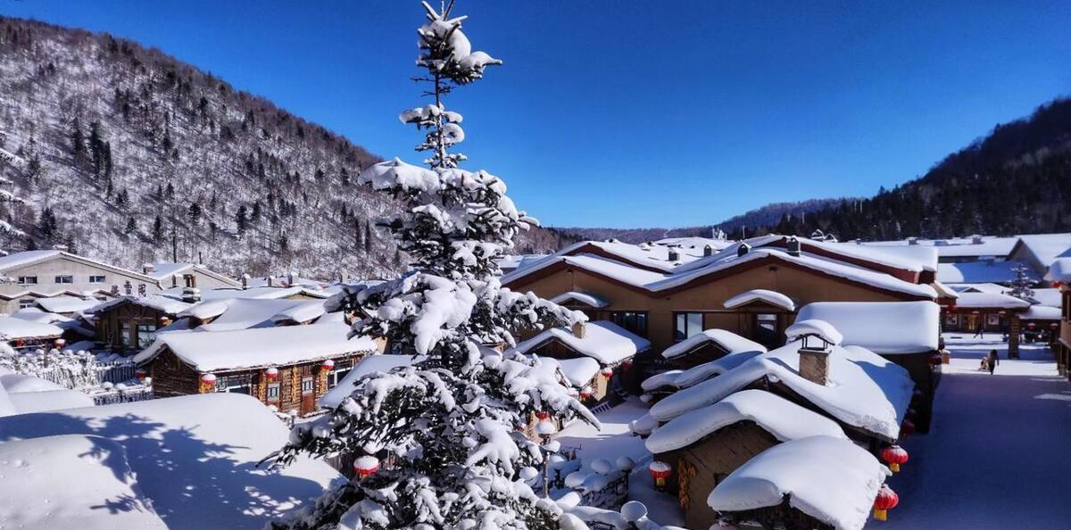 盤錦營口自駕游_營口盤錦多少公里_盤錦營口有什么好玩的