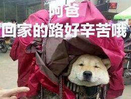 火車站蘇州北是哪一個_火車北站蘇州站是什么站_蘇州北站是火車站嗎