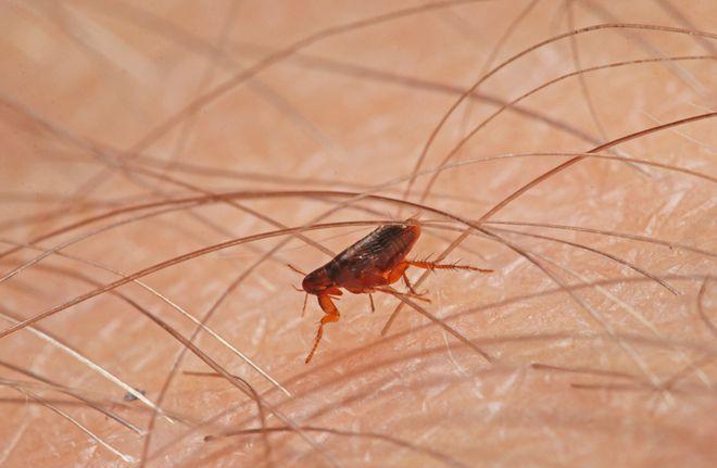 綠皮火車尺寸_綠皮火車車廂多寬_綠皮火車車廂內部尺寸