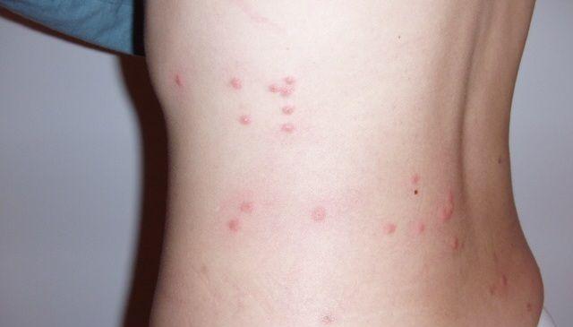 綠皮火車車廂內部尺寸_綠皮火車尺寸_綠皮火車車廂多寬