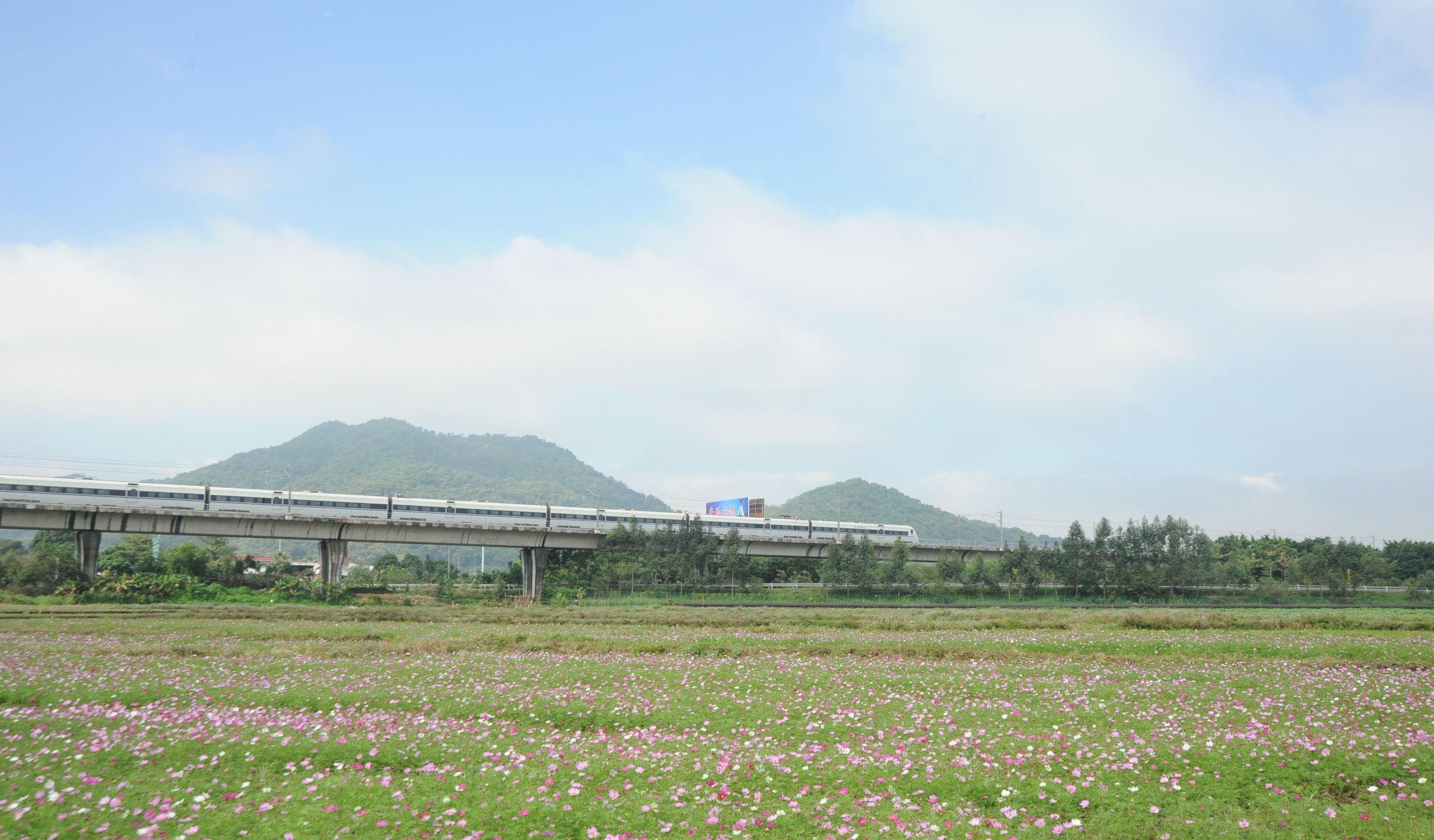 火車清遠(yuǎn)有一條什么隧道很遠(yuǎn)_火車清遠(yuǎn)到長沙要多久_清遠(yuǎn) 火車