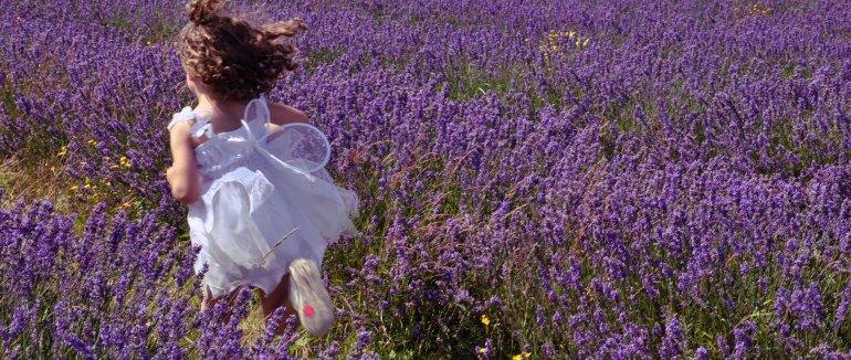 漳州代辦法國個人旅游簽證需要準(zhǔn)備什么材料