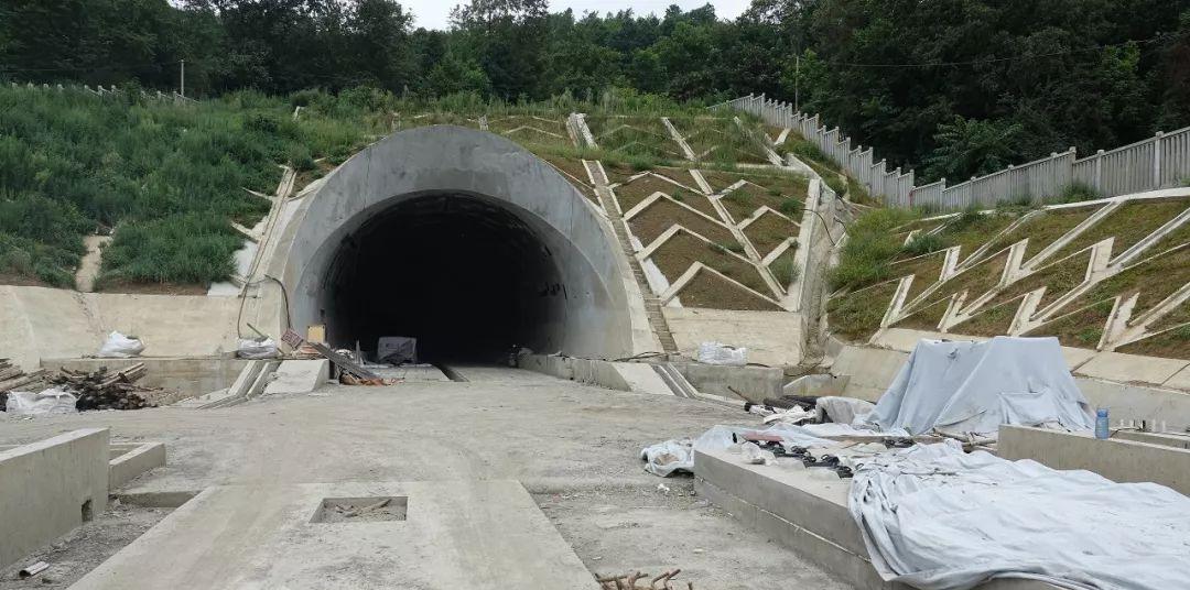 大方火車站到百里杜鵑怎么走_大方火車站_大方火車站時刻表