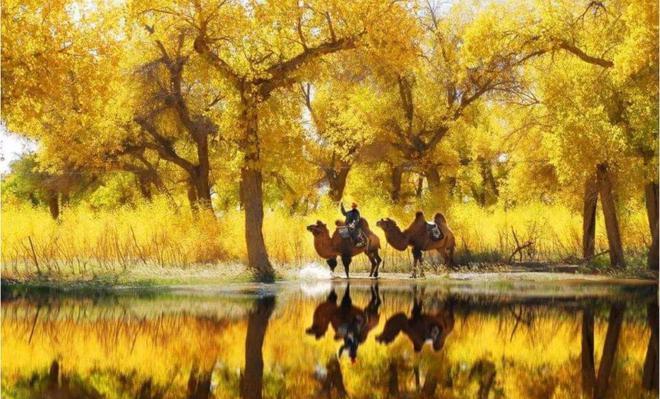 火車車站站臺_輪臺火車站_火車站臺鐵軌圖片