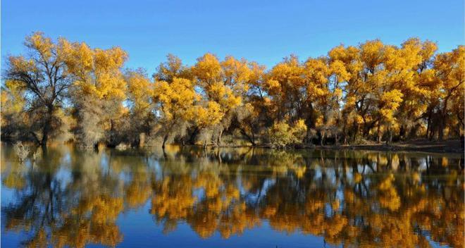 輪臺火車站_火車車站站臺_火車站臺鐵軌圖片