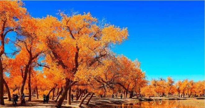 火車車站站臺_輪臺火車站_火車站臺鐵軌圖片