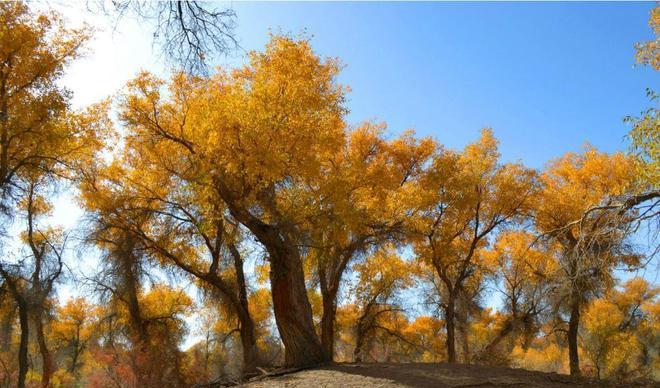 火車車站站臺_火車站臺鐵軌圖片_輪臺火車站