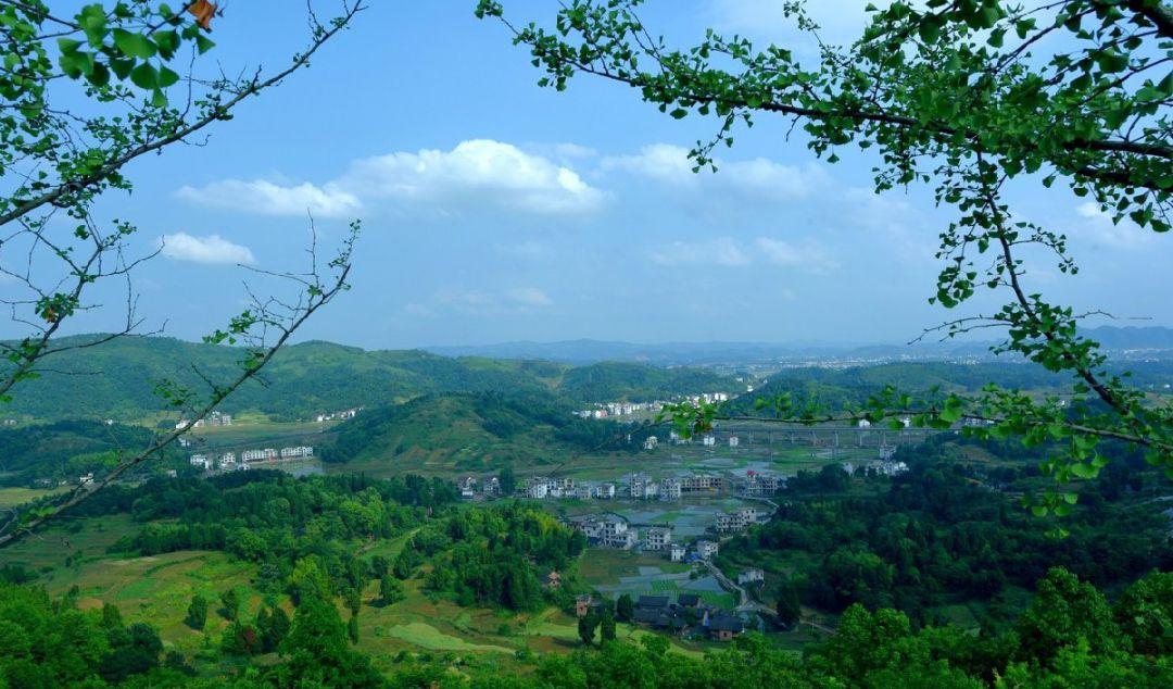 自駕長沙旅游景點攻略_長沙自駕旅游_長沙自駕游景點