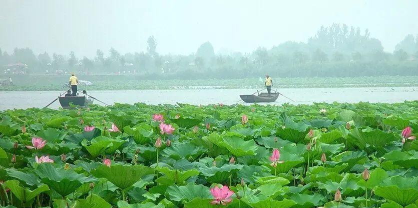 上海到濟南火車票價_上海到濟南的火車經過什么地方_濟南到上海的火車