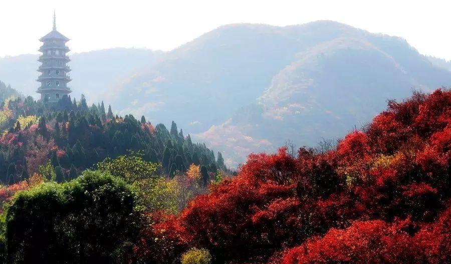 上海到濟南的火車經過什么地方_濟南到上海的火車_上海到濟南火車票價