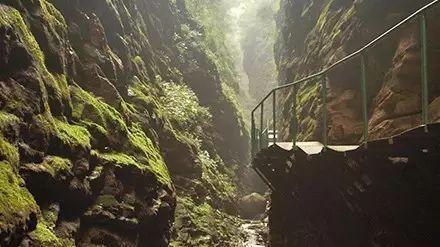 濟南到上海的火車_上海到濟南火車票價_上海到濟南的火車經過什么地方