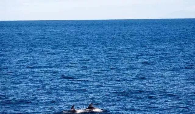 自駕游318線費用多少_自駕游半年_自駕游去哪里玩比較好