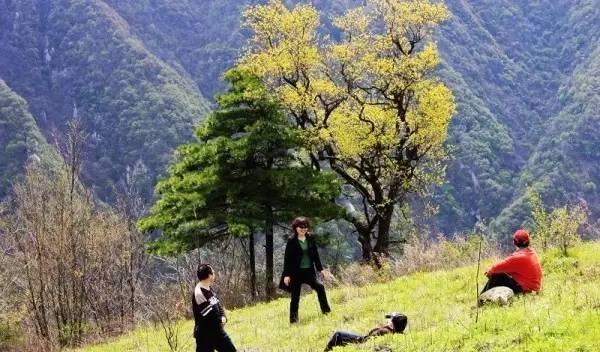 自駕游去張家界旅游最佳路線_自駕游半年_自駕游保險怎么購買