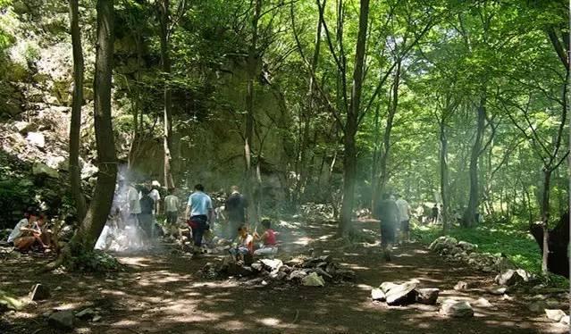 自駕游保險怎么購買_自駕游半年_自駕游去張家界旅游最佳路線