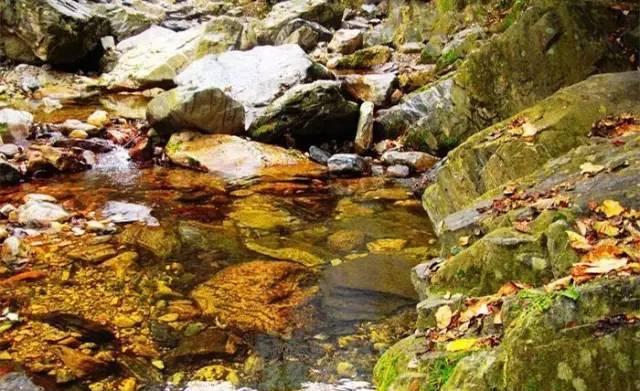 自駕游半年_自駕游去張家界旅游最佳路線_自駕游保險怎么購買