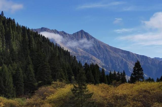 成都到畢棚溝自駕一日游_成都到畢棚溝自駕游攻略_成都自駕到畢棚溝二日游攻略