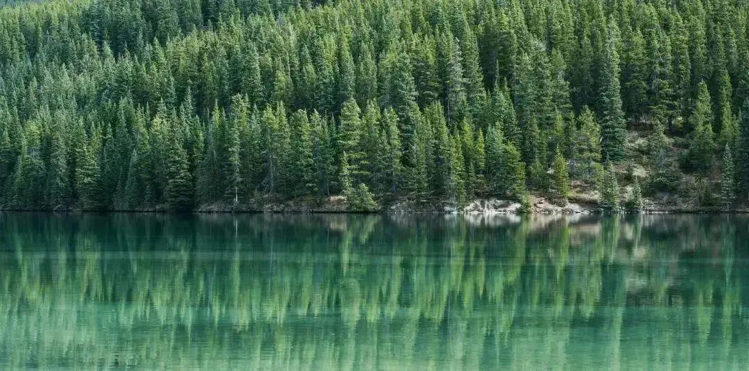 加拿大去美國旅游_美國加拿大旅游_美國加拿大旅游路線